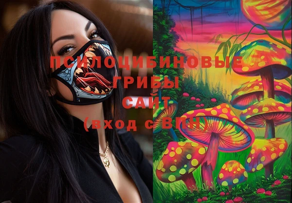 прущие крисы Алзамай