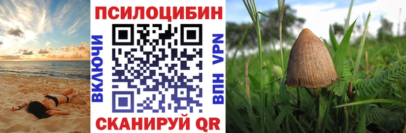 Псилоцибиновые грибы мухоморы нарко площадка официальный сайт Арамиль